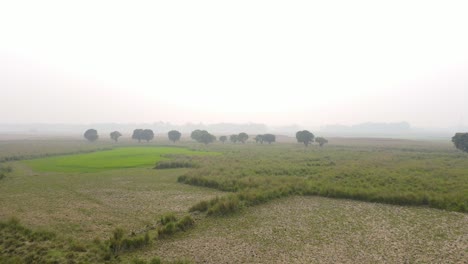 aerial:-dry-marshland-with-water-canal-in-Bangladesh-in-foggy-morning