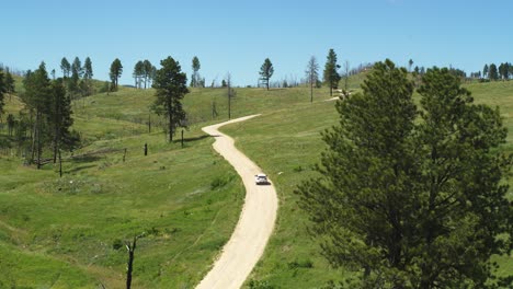 aerial, family 4x4 suv driving on outdoor state park road in temperate green forest