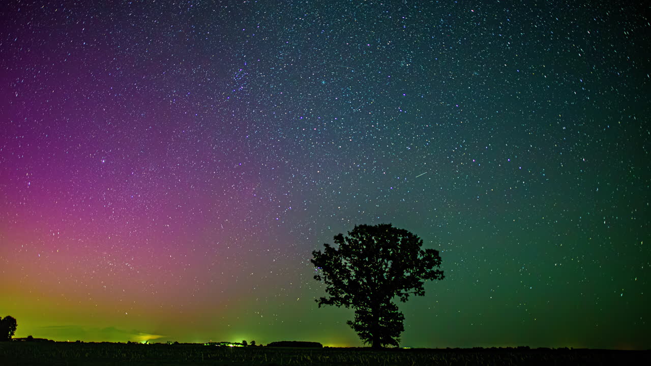Starry night sky with a solitary tree silhouette and colorful aurora-like glow