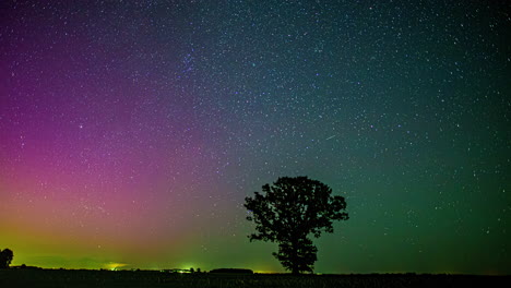 starry night sky with a solitary tree silhouette and colorful aurora-like glow