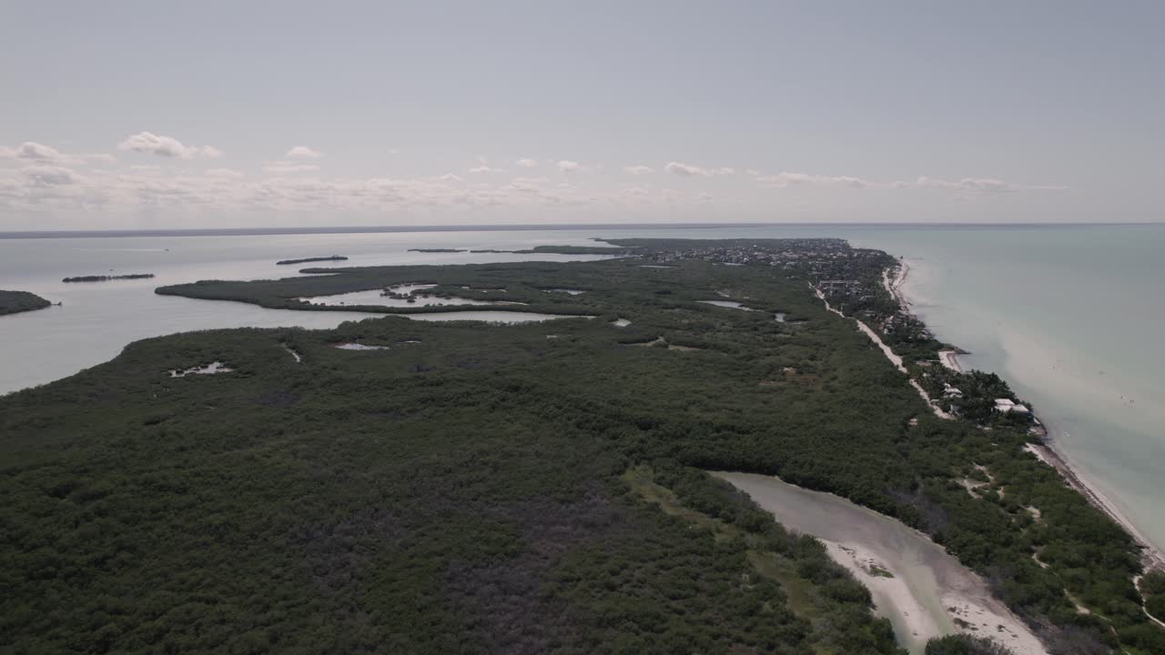 paisaje verde y aguas cristalinas de isla holbox en méxico