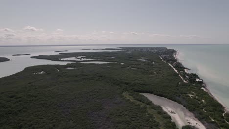 Grüne-Landschaft-Und-Klares-Wasser-Der-Isla-Holbox-In-Mexiko