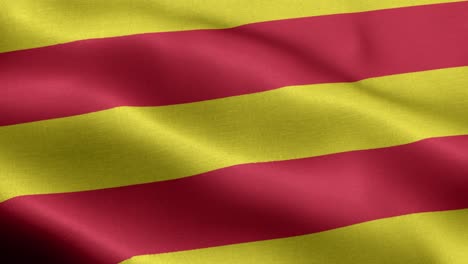 flag of oldenburg, lower saxony - germany state flags - german municipal flags - germany - flag wave pattern loopable elements - slow motion shot flag - loop ready full screen flag is waving in slow motion. realistic 3d animation. 4k resolution.