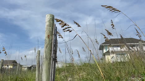 los pastos se mecen en un día ventoso en la ciudad costera de wrightsville en carolina del norte