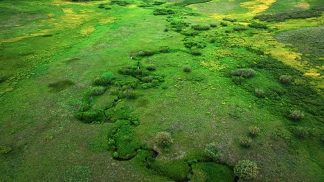 Aerial-over-green-meadows-and-fields-near-the-Crested-Butte-mountain,-Colorado,-USA