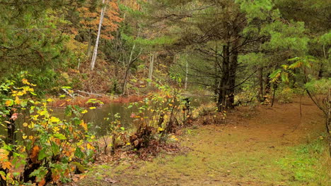 Zona-De-Acampada-óptima-Mew-Lake-Algonquin-Provincial-Park-Canadá