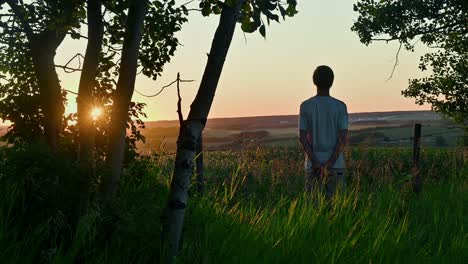 un niño viendo una puesta de sol junto a un campo
