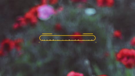 blurred red flowers