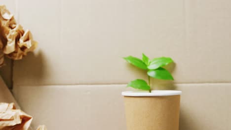 Close-up-of-paper-trash-and-cup-with-plant-on-cardboard-background,-with-copy-space