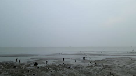 wet beach of bangladesh coastline, dolly backward view