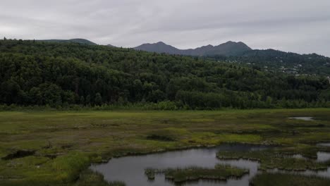 Imágenes-Aéreas-De-Drones-De-4k-De-Un-Pantano-De-Humedales-En-Alaska-Durante-El-Verano