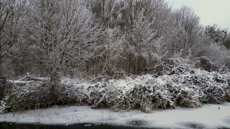 Invierno-Nieve-Río-Madera-Bosque-Cielo-Nublado-Alemania