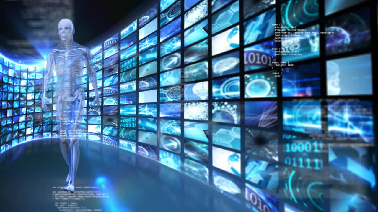 인간 해부학과 lcd