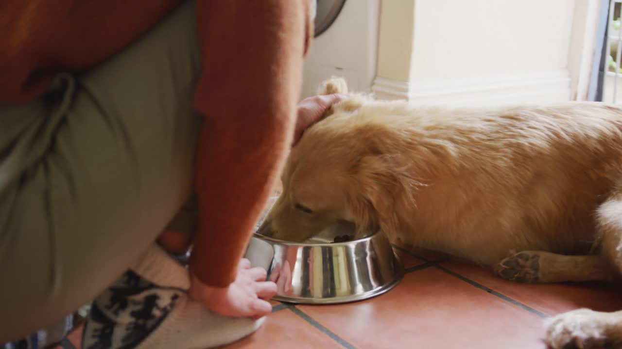 Kaukasische Frau streichelt ihren Hund, der zu Hause in der Küche aus einem Napf frisst