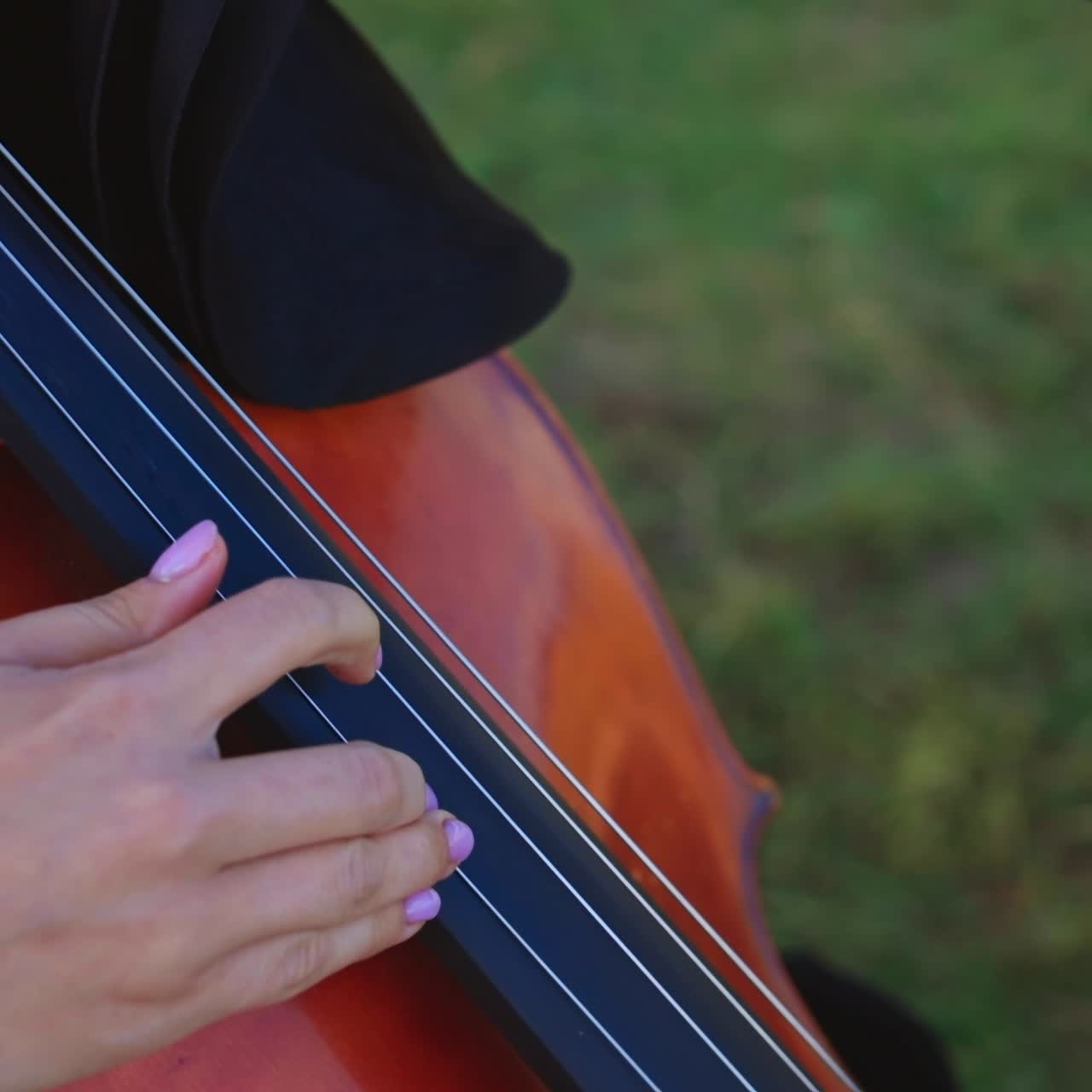 Professional cellist on nature landscapes. Young woman playing in stringed instrument