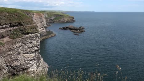 looking north along the fowlsheugh cliffs with flying seabirds