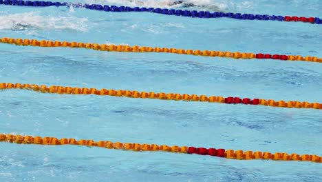 swimmers racing in a pool during a competition