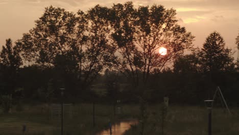 evening wet park at sunset after rain