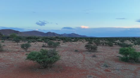 low drone flight over the semi arid southern kalahari bushveld