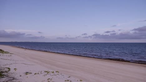 the shoreline of a beach