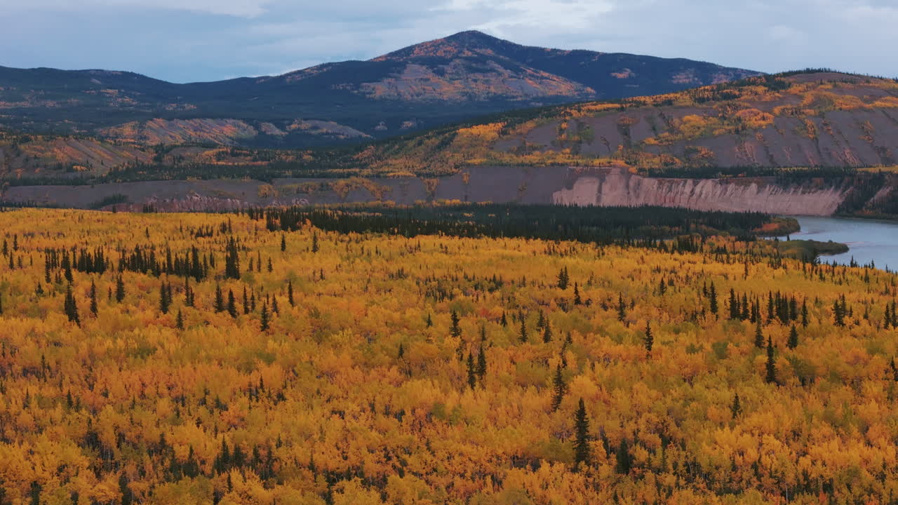Aerial View of Alaskan Autumn Landscape