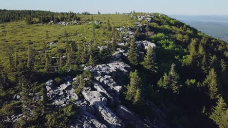 rugged rocks and pine trees at edge of mountain aerial orbit dolly sods cinematic 4k