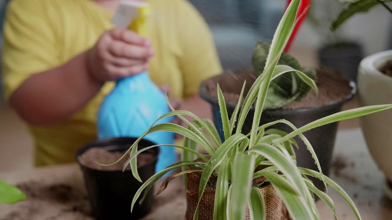 Close Up Little Boy Taking Care Of Plant At Home