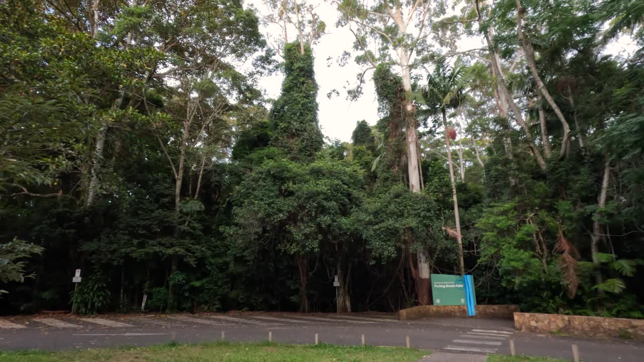 정보 표지판이 있는 조용한 숲 입구