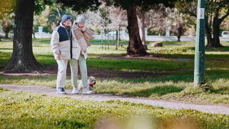 senior couple, dog and walking in the park