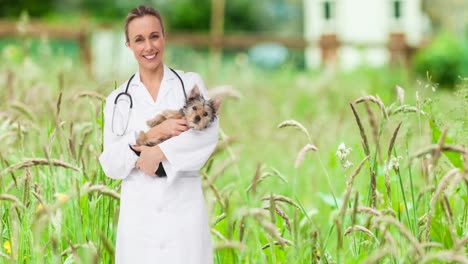 animation of happy caucasian female vet holding yorkshire terrier pet dog, over grasses in garden