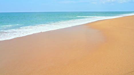 static shot of waves reaching the shore during hot sunny day, the waves are splashing on the wet sand of clear beach with ocean in the background and golden sand in the foreground