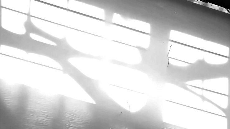 Shadow of Tree Branches Moving on a Bright Wall