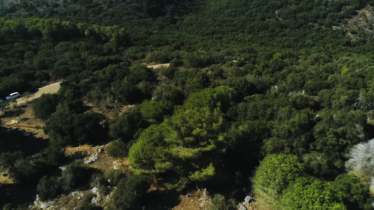 un dron de 4k vuela sobre el bosque natural y se inclina hacia el cielo