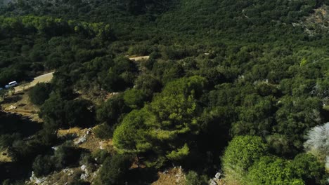 4k drone fly over looking down on natural forest and tilting up to the sky