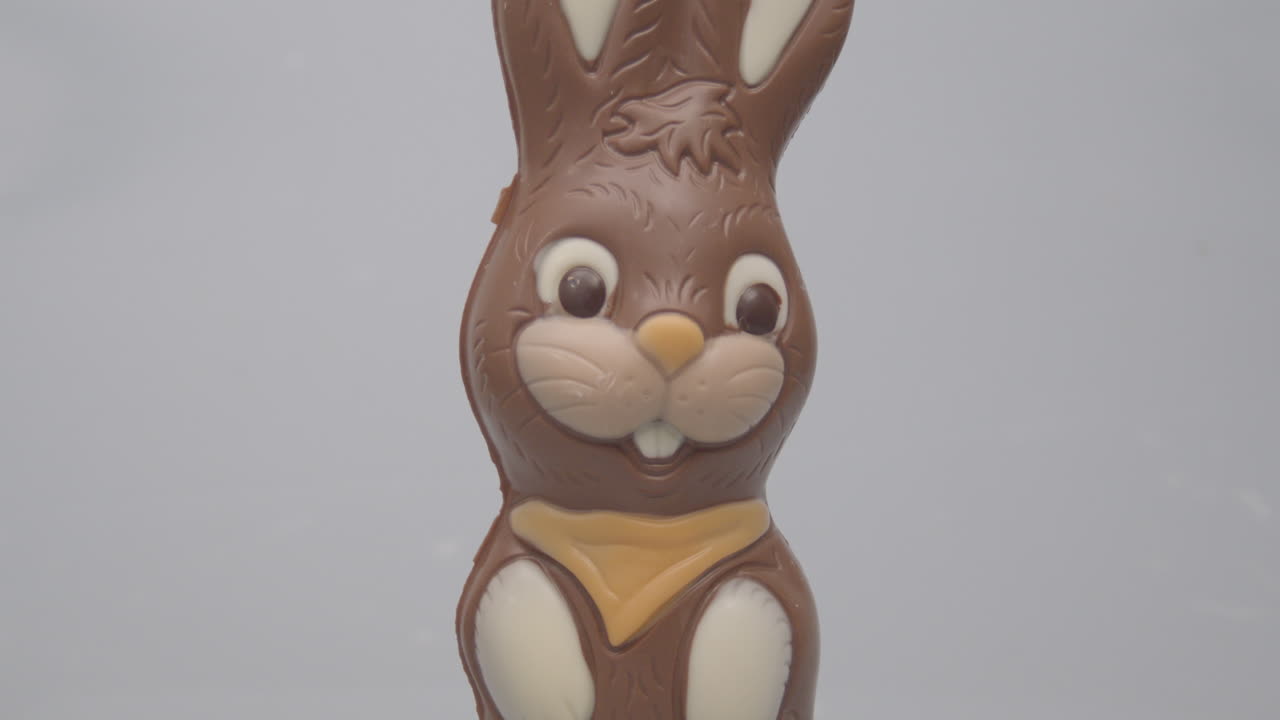 Movimento de câmera descendente de um coelho de Páscoa de chocolate contra um fundo branco
