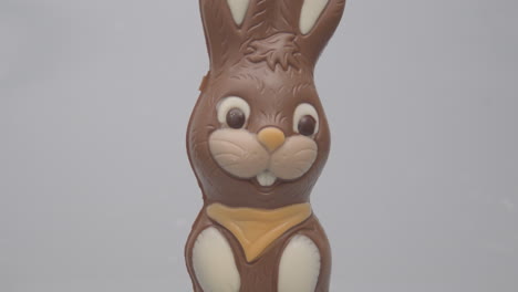 incline hacia abajo el conejito de pascua de chocolate contra un fondo blanco.