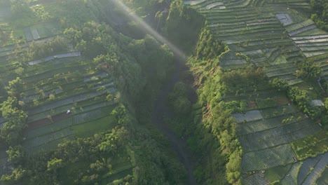 Espectacular-Vista-Aérea-De-Un-Barranco-Tropical-Entre-El-Campo-Agrícola