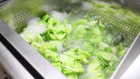 machine washing veggie in food factory or kitchen