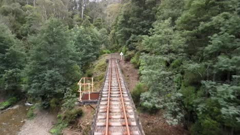 flying along the walhalla scenic steam railway tracks above the thompson river in gippsland