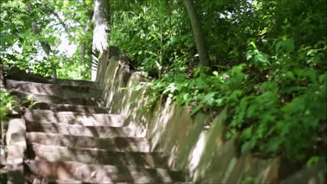 hiking on stone staircase in a park at summer
