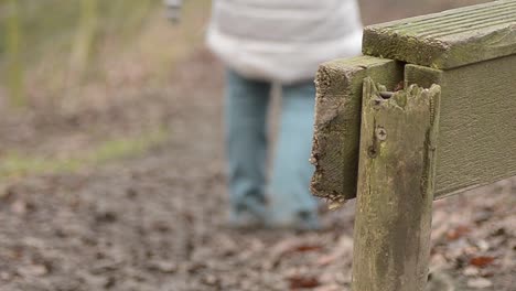 walking past stile in countryside in winter