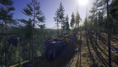 scenic view of a sunlit forest with tall trees and rocky terrain