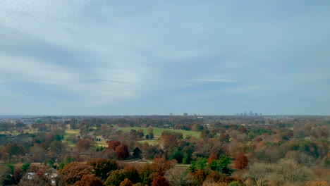 paisaje del parque forestal en un hermoso día de otoño