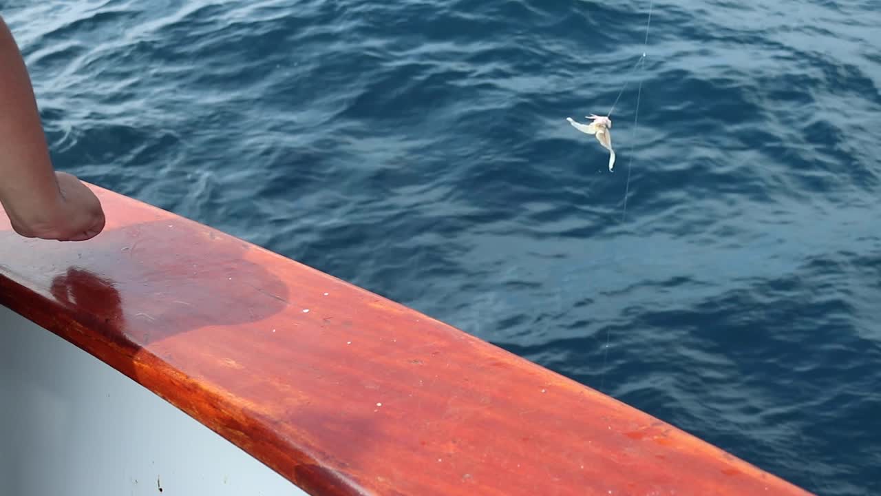 오징어가 있는 볼락이 물에서 꺼내지고 있다