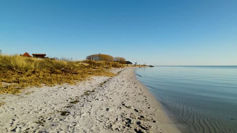 Solitärer-Strand-In-Kuznica-Polen