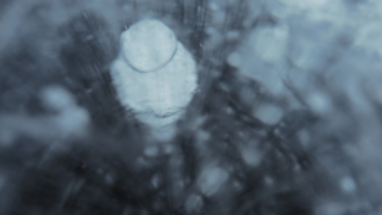 White methane bubbles under the cracked ice surface of a frozen lake