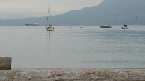 Log-on-sandy-beach-with-sailboats-and-tankers-on-sea