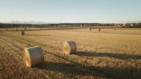 low-altitude drone footage showcasing rolled hay bales neatly spread across an open field, capturing the textures of rural farmland and golden tones of harvest.