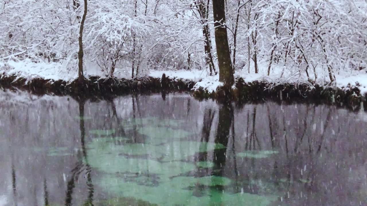 Una fonte di acqua dolce durante l'inverno con maestose nevicate - una famosa riserva naturale delle sorgenti blu in Polonia