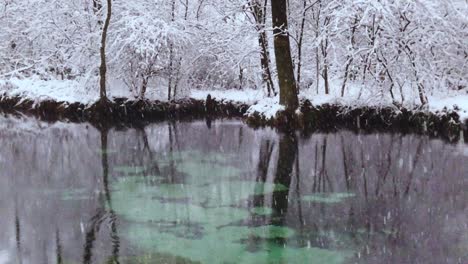 Una-Fuente-De-Agua-Dulce-Durante-El-Invierno-Con-Majestuosa-Nevada---Una-Famosa-Reserva-Natural-De-Manantiales-Azules-En-Polonia